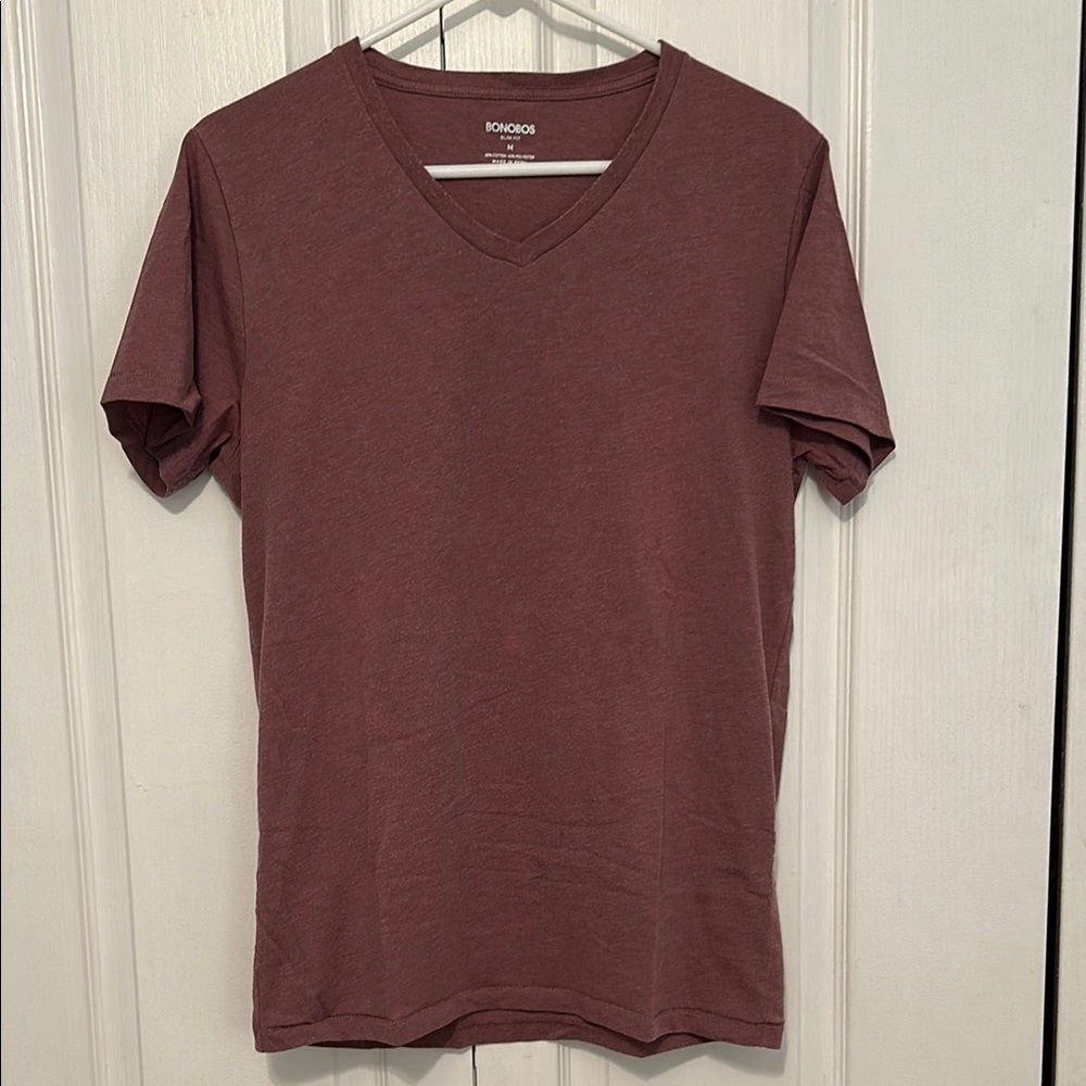 Bonobos Men's Burgundy V-Neck Tee